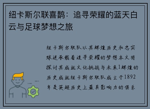 纽卡斯尔联喜鹊:追寻荣耀的蓝天白云与足球梦想之旅