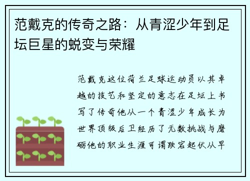 范戴克的传奇之路：从青涩少年到足坛巨星的蜕变与荣耀