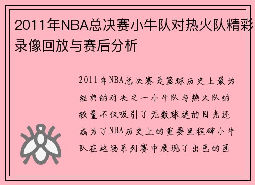 2011年NBA总决赛小牛队对热火队精彩录像回放与赛后分析
